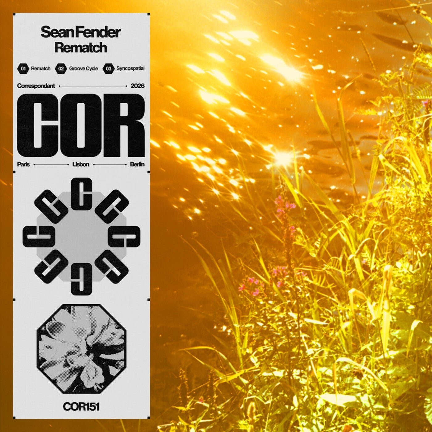 Cover - Sean Fender - Syncospatial (Original Mix) Promo tools