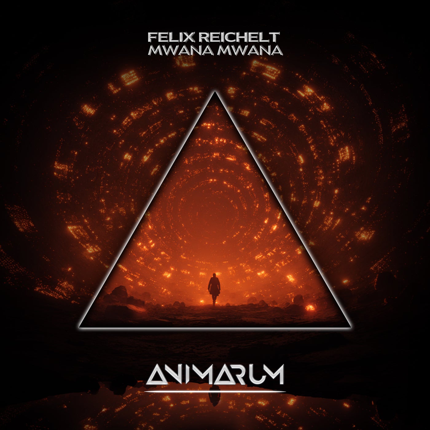 Cover - Felix Reichelt - Mwana Mwana (Extended Mix) Promo tools