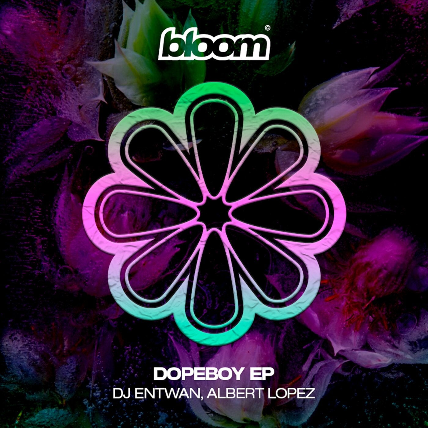 Cover - DJ Entwan, Albert Lopez - Klindo (Original Mix) Promo tools