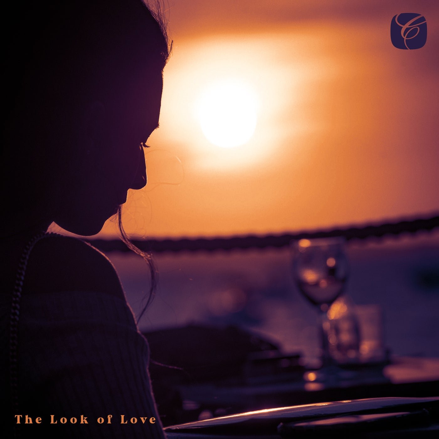 Cover - Cafe Del Mar, Los Twangueros - The Look of Love (Café del Mar Reimagined) Promo tools