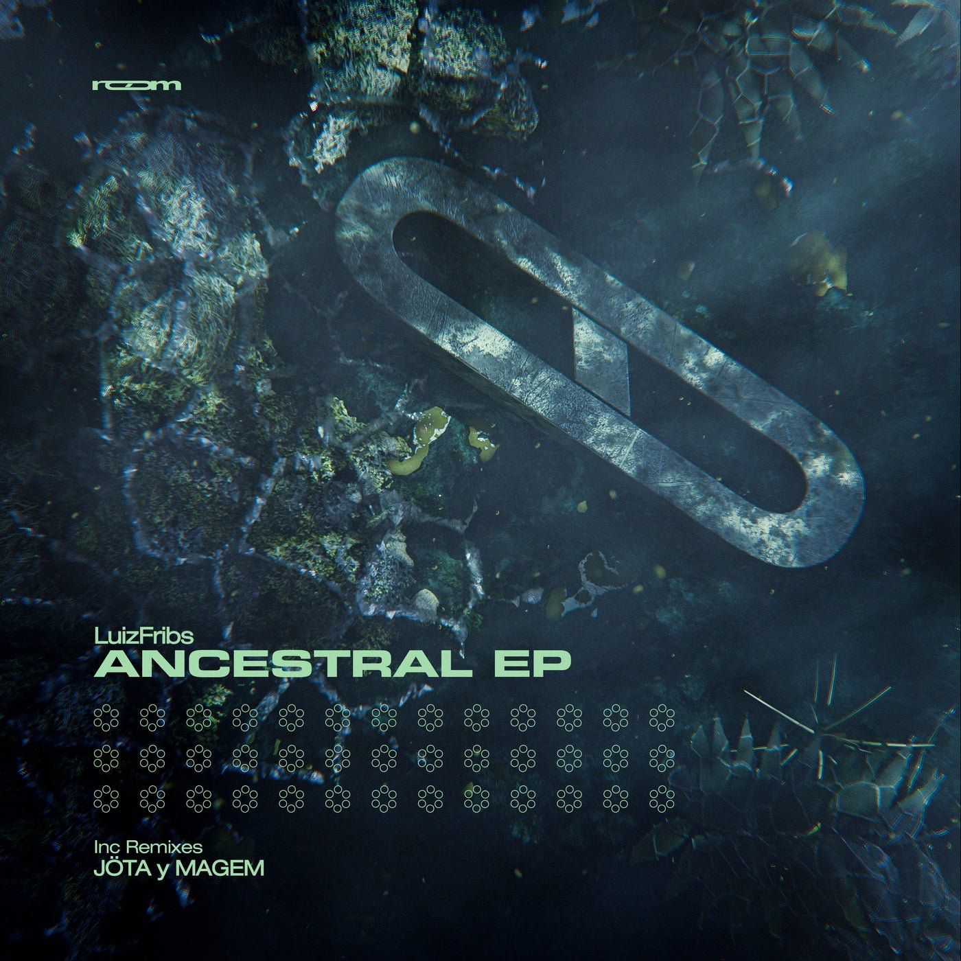 Cover - LuizFribs - Ancestral (Original Mix) Promo tools