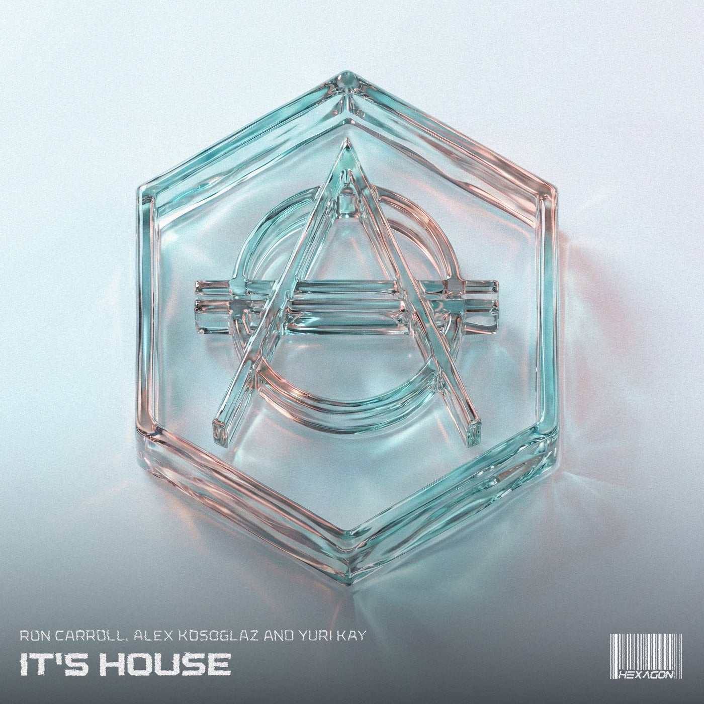 Cover - Ron Carroll, Yuri Kay, Alex Kosoglaz - It's House (Extended Mix) Promo tools