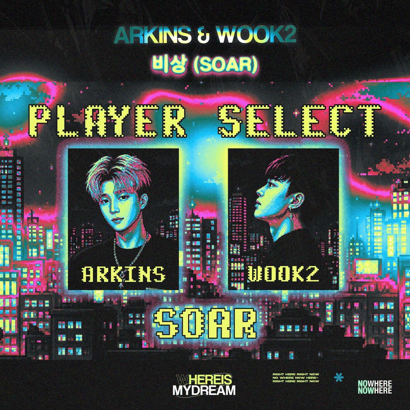Cover - WOOK2, Arkins - Soar (Original Mix) Promo tools
