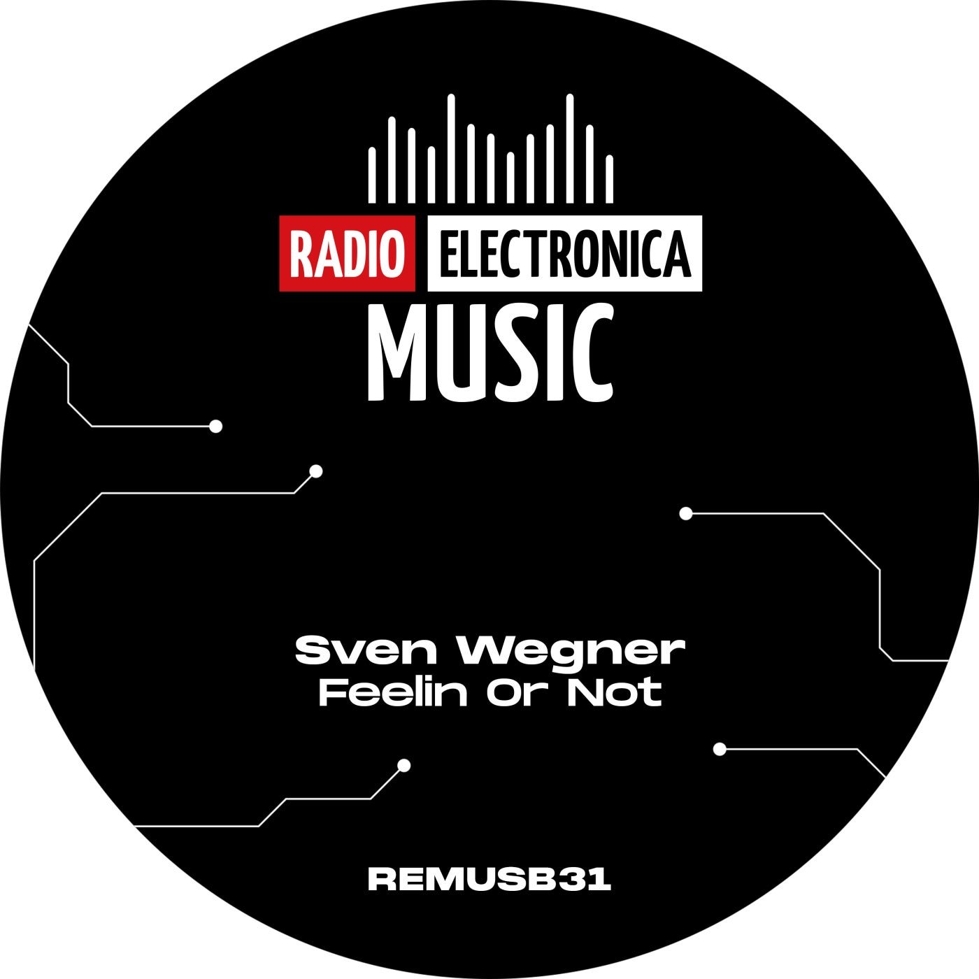 Cover - Sven Wegner - Feelin Or Not (Extended Mix) Promo tools
