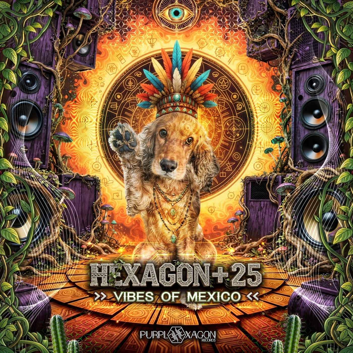 Cover - Kausttick, Hexagon +25 - Rhyhtmic Roots (Original Mix) Promo tools