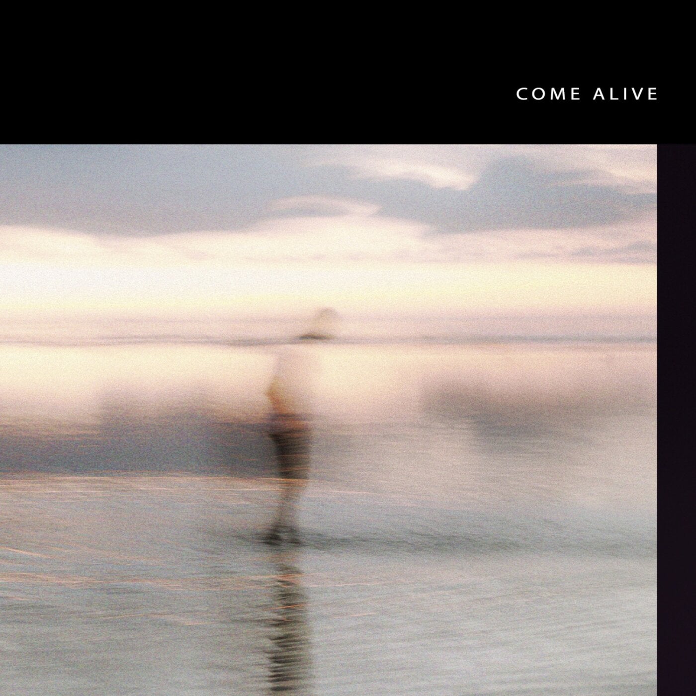 Cover - LÜRUM - Come Alive (Extended Mix) Promo tools