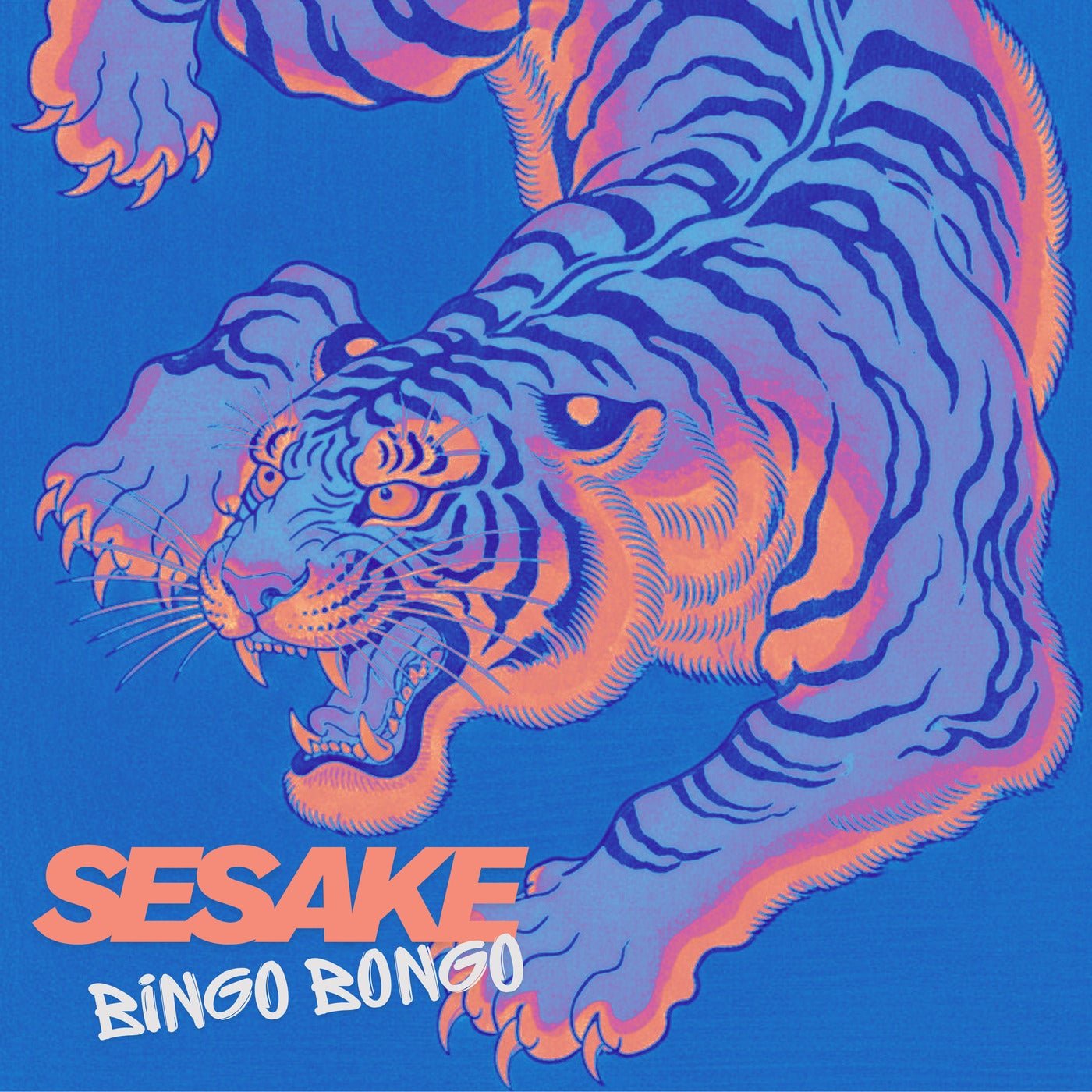 Cover - SeSaKe - Bingo Bongo (Original Mix) Promo tools