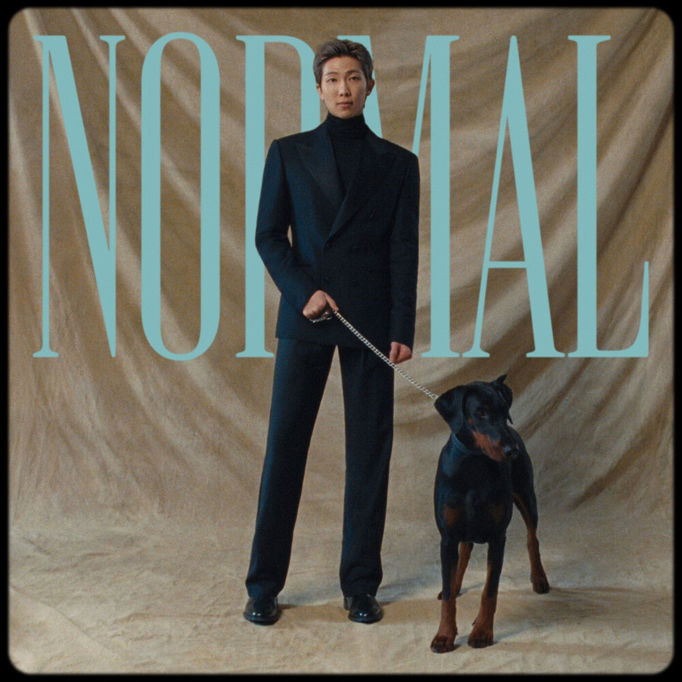 Cover - BTS - NORMAL (MV Still Alternate Cover RM Version) Promo tools