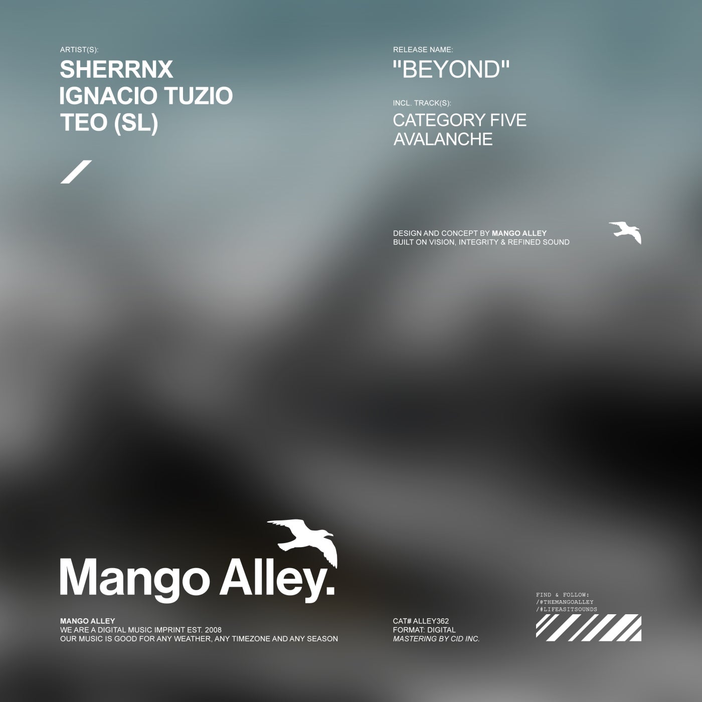 Cover - TEO (SL), SHERRNX - Avalanche (Original Mix) Promo tools