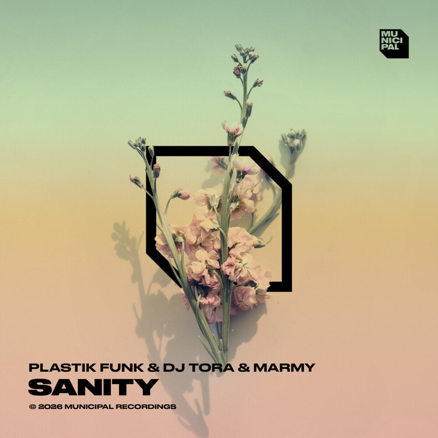 Cover - Plastik Funk, DJ Tora, Marmy - Sanity (Extended Mix) Promo tools