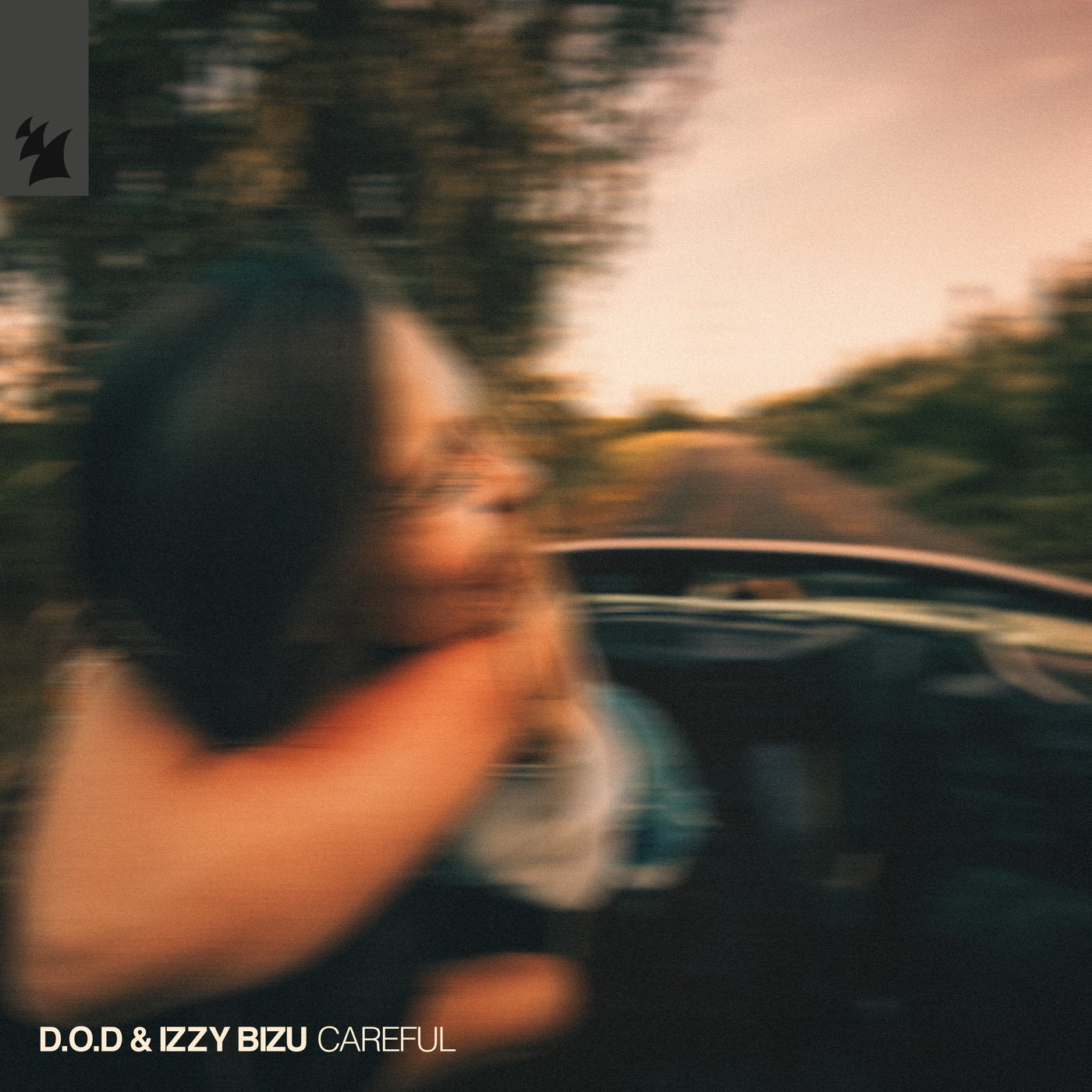 Cover - D.O.D, Izzy Bizu - Careful (Extended Mix) Promo tools