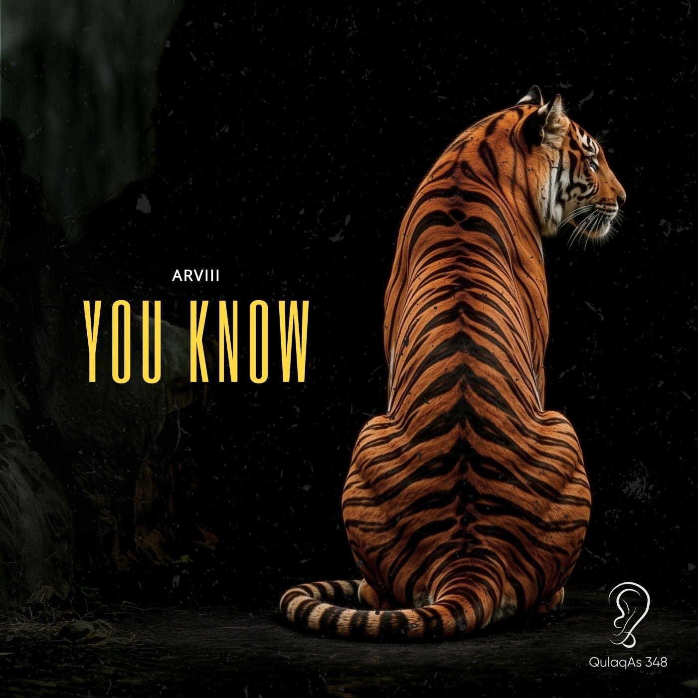 Cover - ARVIII - You Know (Extended Mix) Promo tools