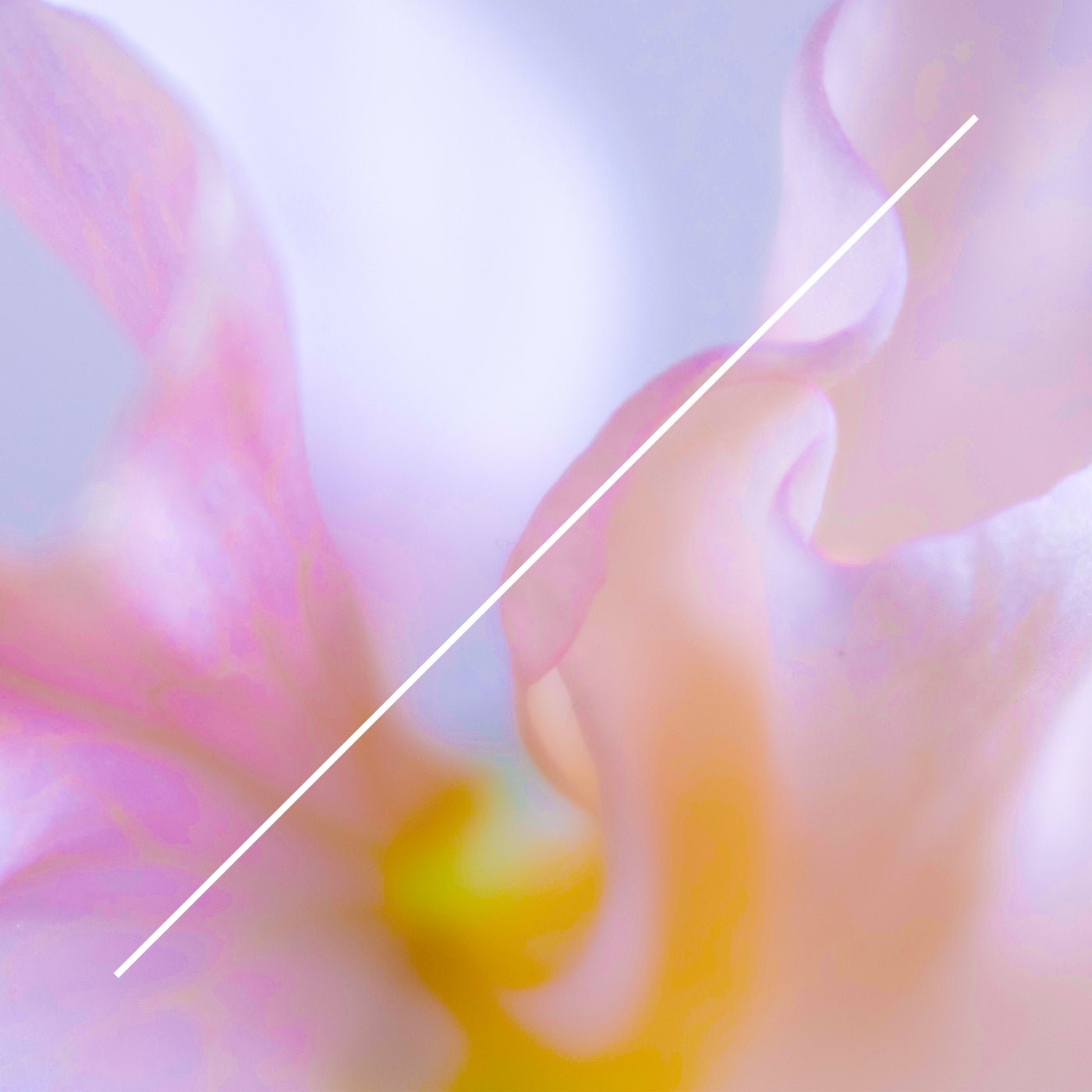 Cover - Savvas - Grace (Original Mix) Promo tools