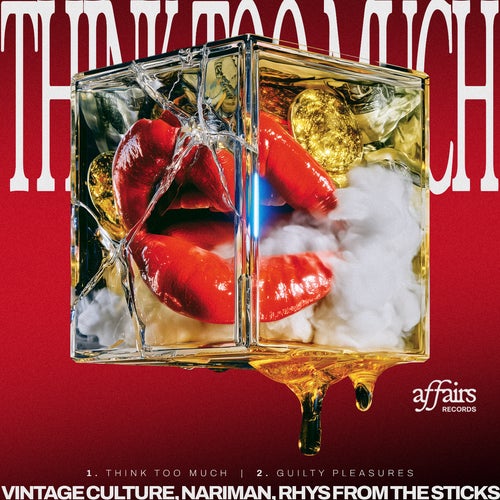 Cover - Vintage Culture - Guilty Pleasures (Extended) Promo tools