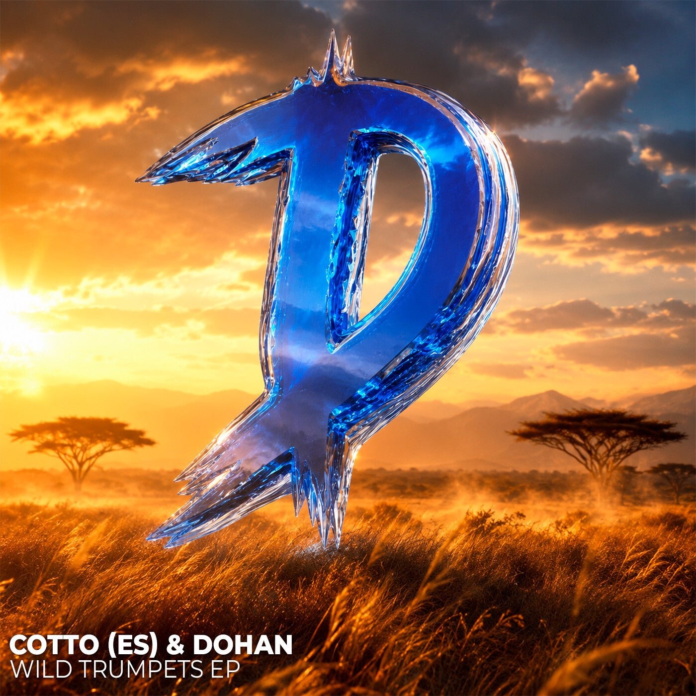 Cover - Dohan, COTTO (ES) - Chick in the back (Original Mix)