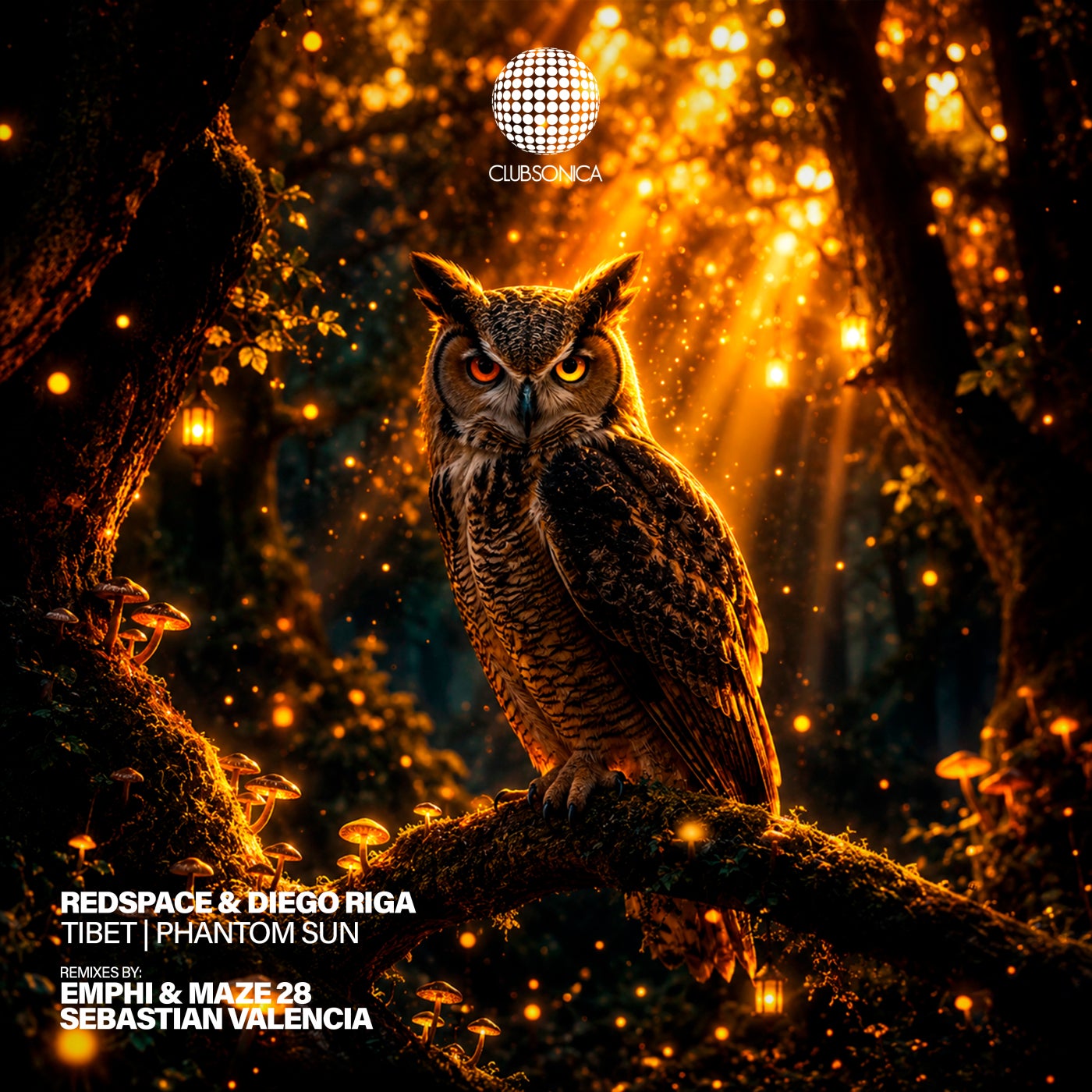 Cover - Redspace, Diego Riga - Tibet (Extended Mix) Promo tools