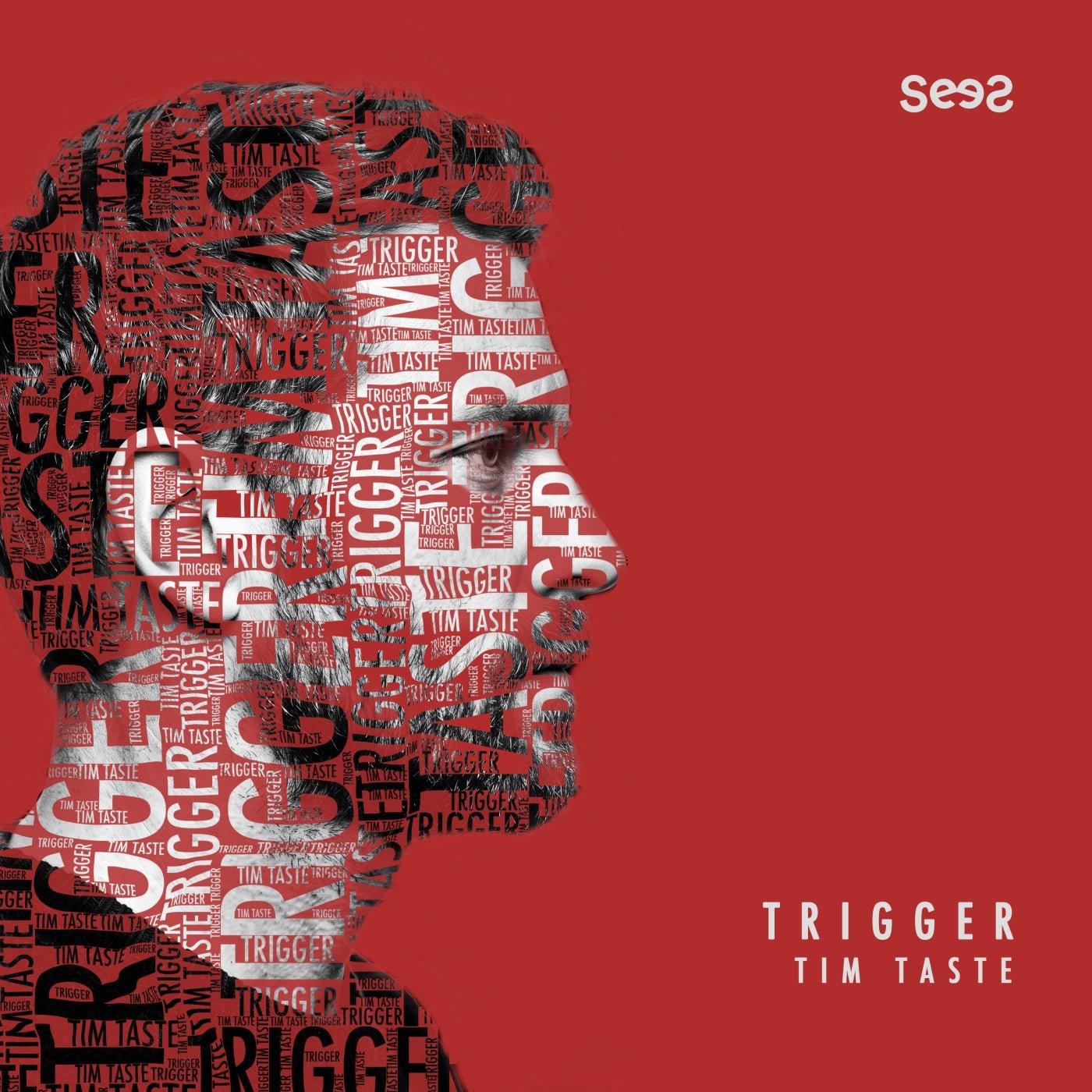 Cover - TiM TASTE - Requiem (Original Mix)