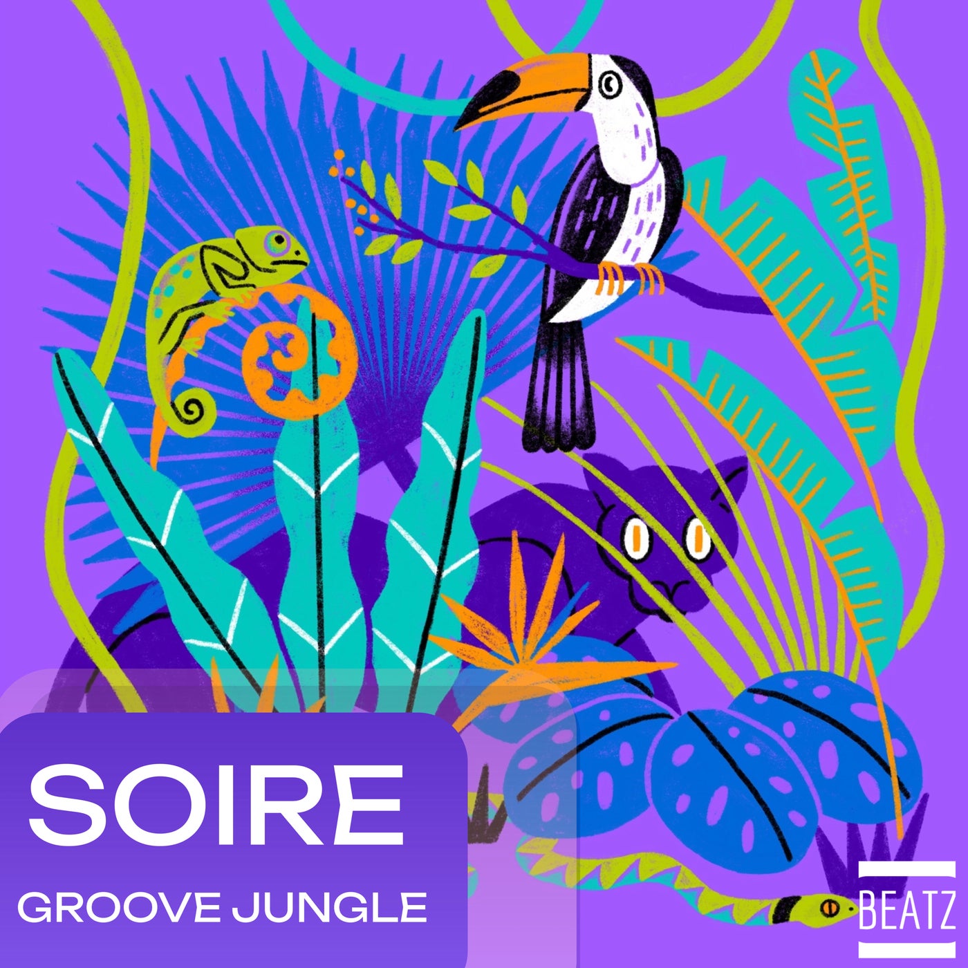 Cover - Soire - Amazonia (Original Mix) Promo tools