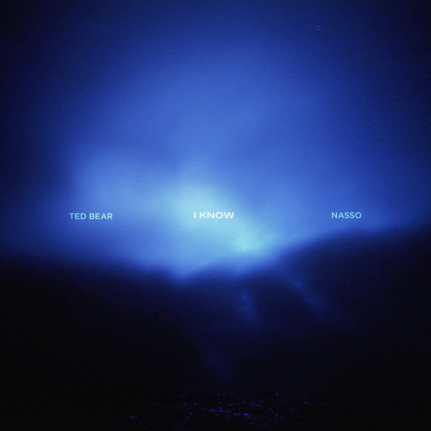 Cover - Nasso, Ted Bear - I Know (Original Mix) Promo tools