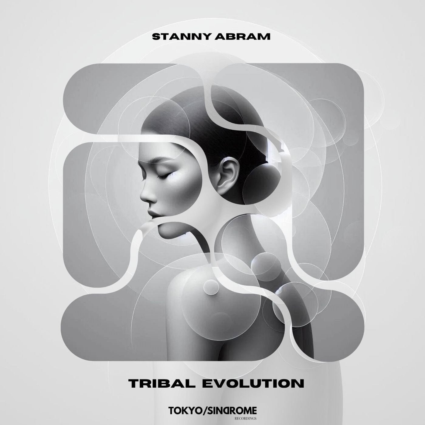 Cover - Stanny Abram - Tribal Evolution (Original Mix) Promo tools