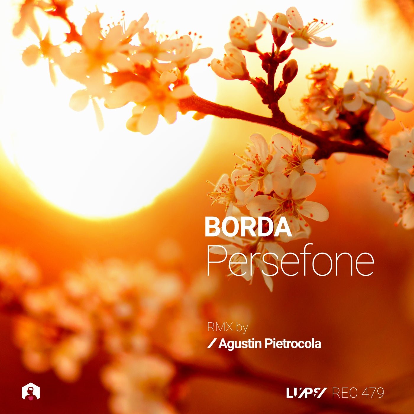 Cover - BORDA - Persefone (Agustin Pietrocola Remix) Promo tools