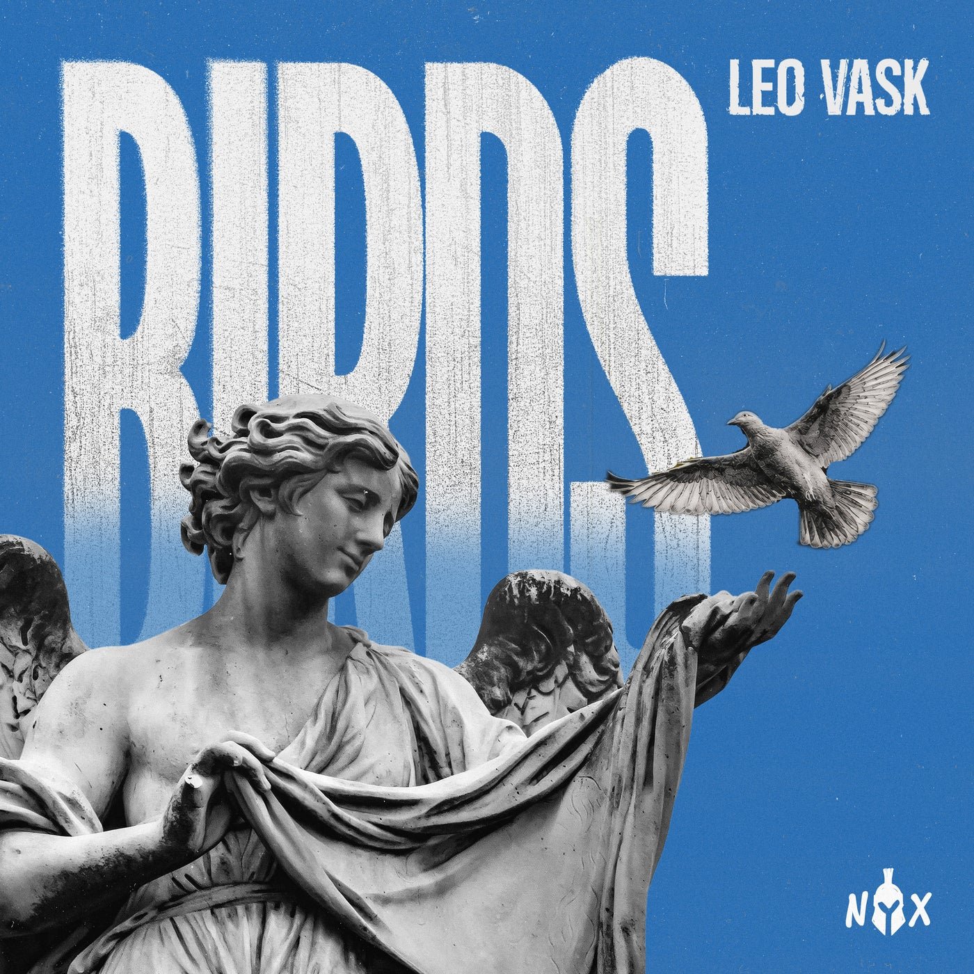 Cover - LEO VASK - Birds (Extended Mix) Promo tools