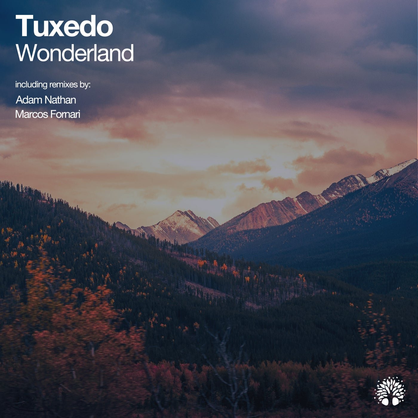 Cover - Tuxedo - Wonderland (Marcos Fornari Remix)