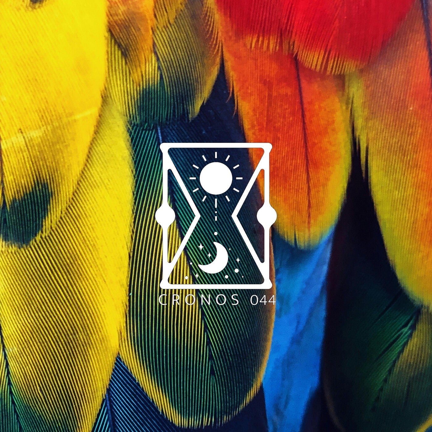 Cover - Barac - Shalom (Original Mix) Promo tools