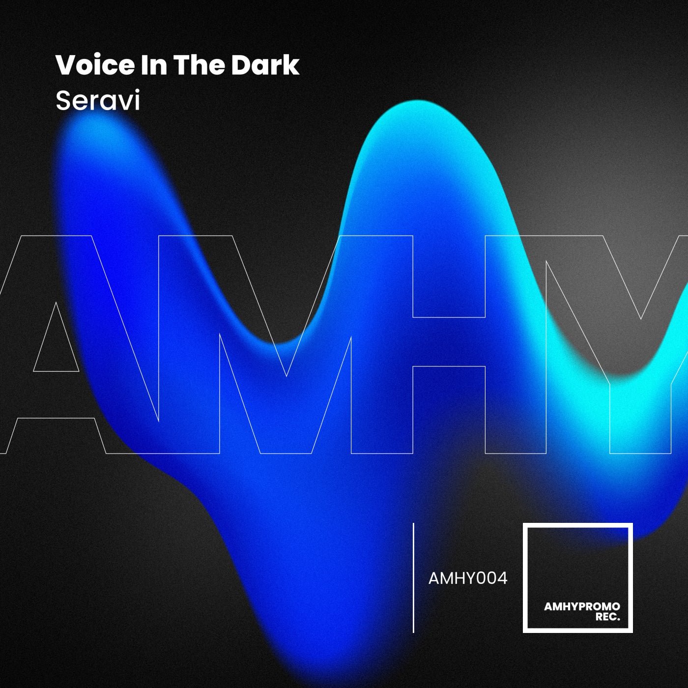 Cover - Seravi - Voice in the Dark (Original Mix) Promo tools