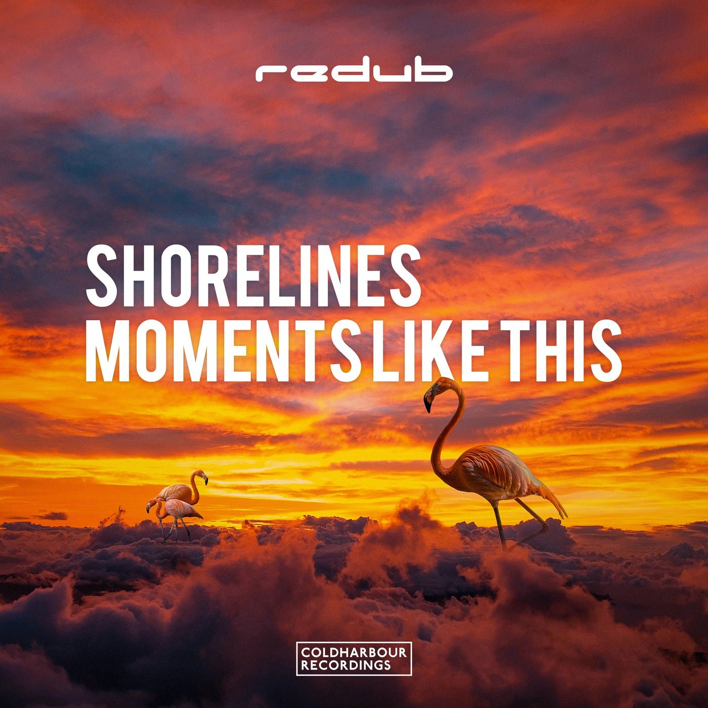 Cover - Redub - Shorelines (Extended Mix)