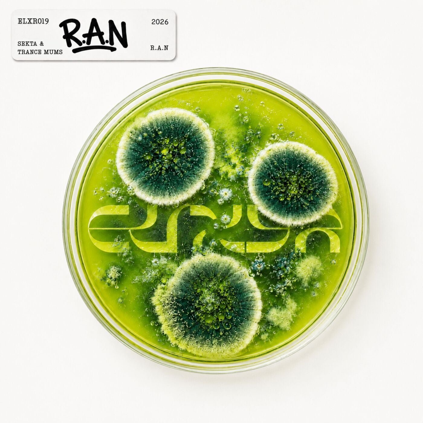 Cover - Sekta, Trance Mums - R.A.N (Extended Mix) Promo tools