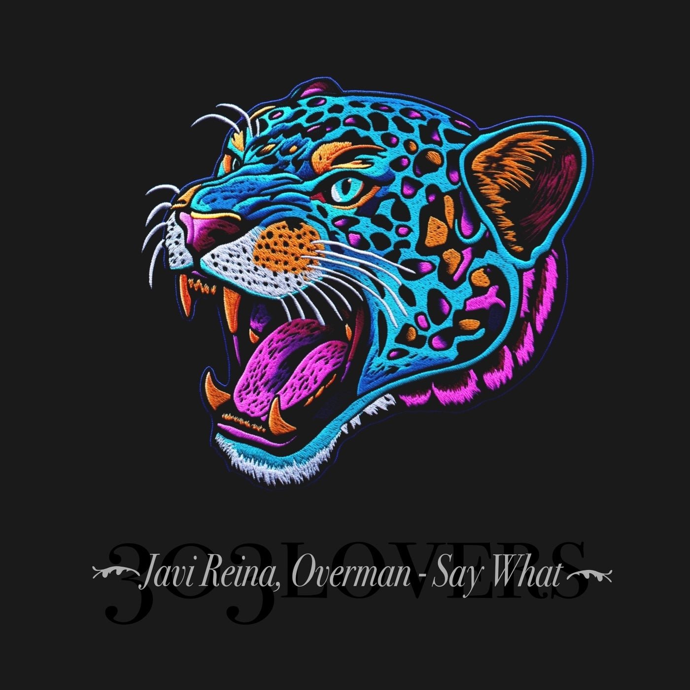 Cover - Javi Reina, Overman - Say What (Extended Mix) Promo tools