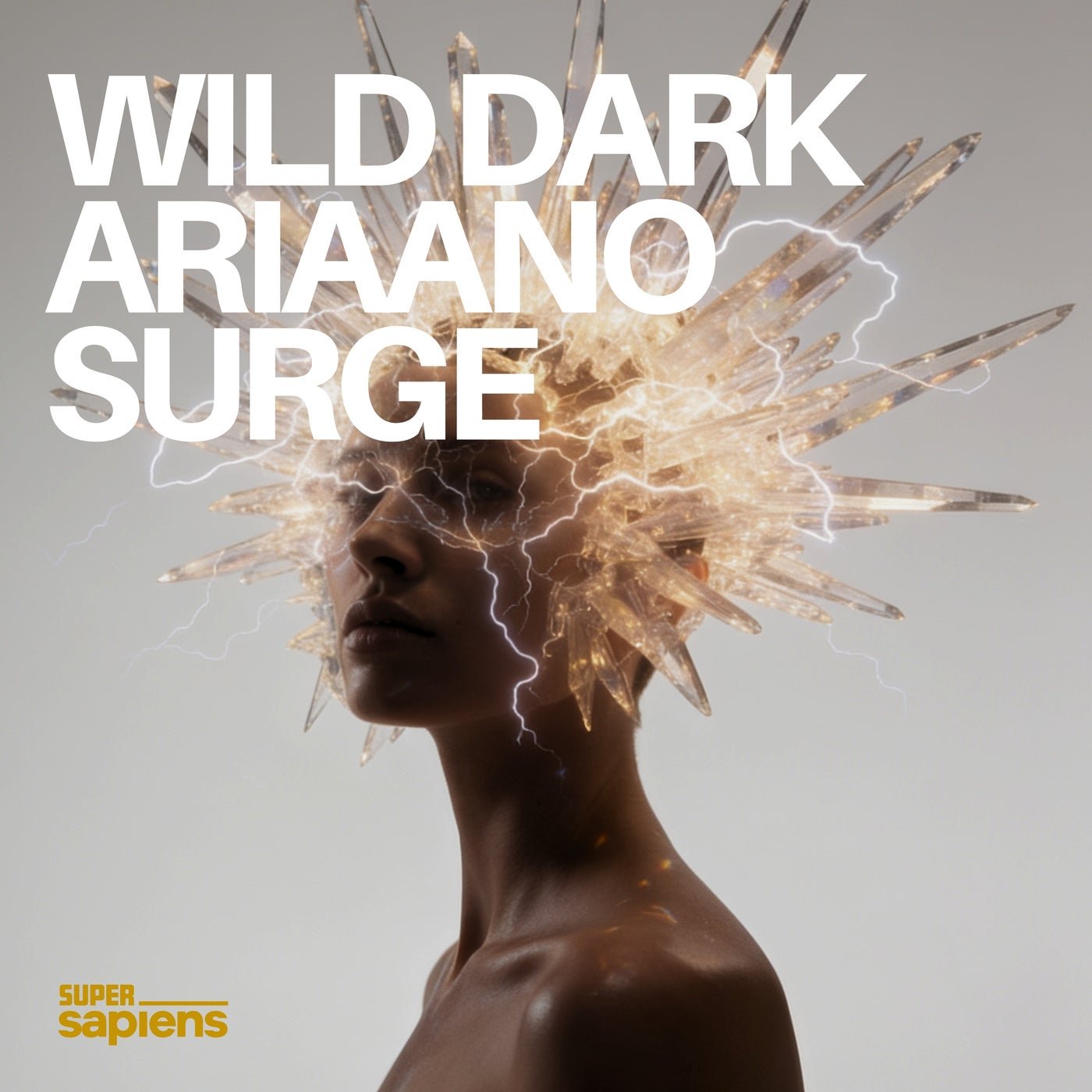 Cover - Wild Dark, ariaano - Surge (Original Mix) Promo tools