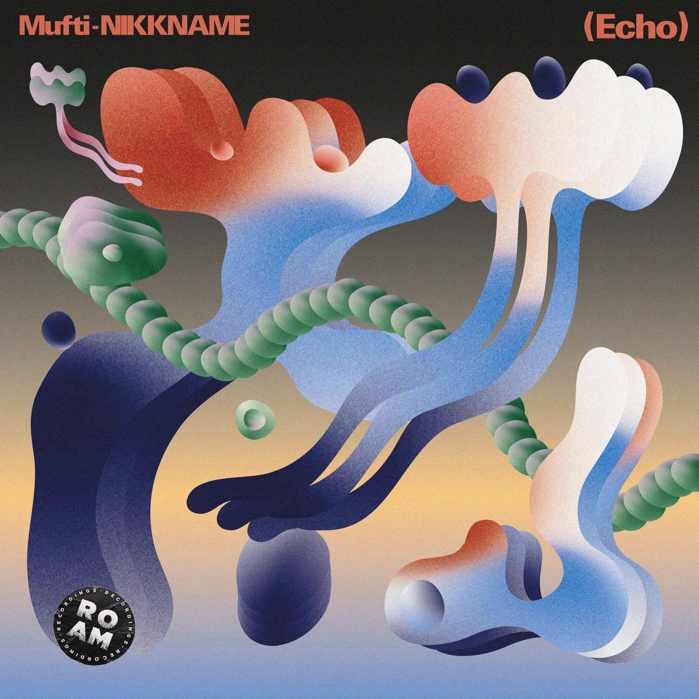 Cover - NIKKNAME, Mufti - Echo (Radio Version) Promo tools