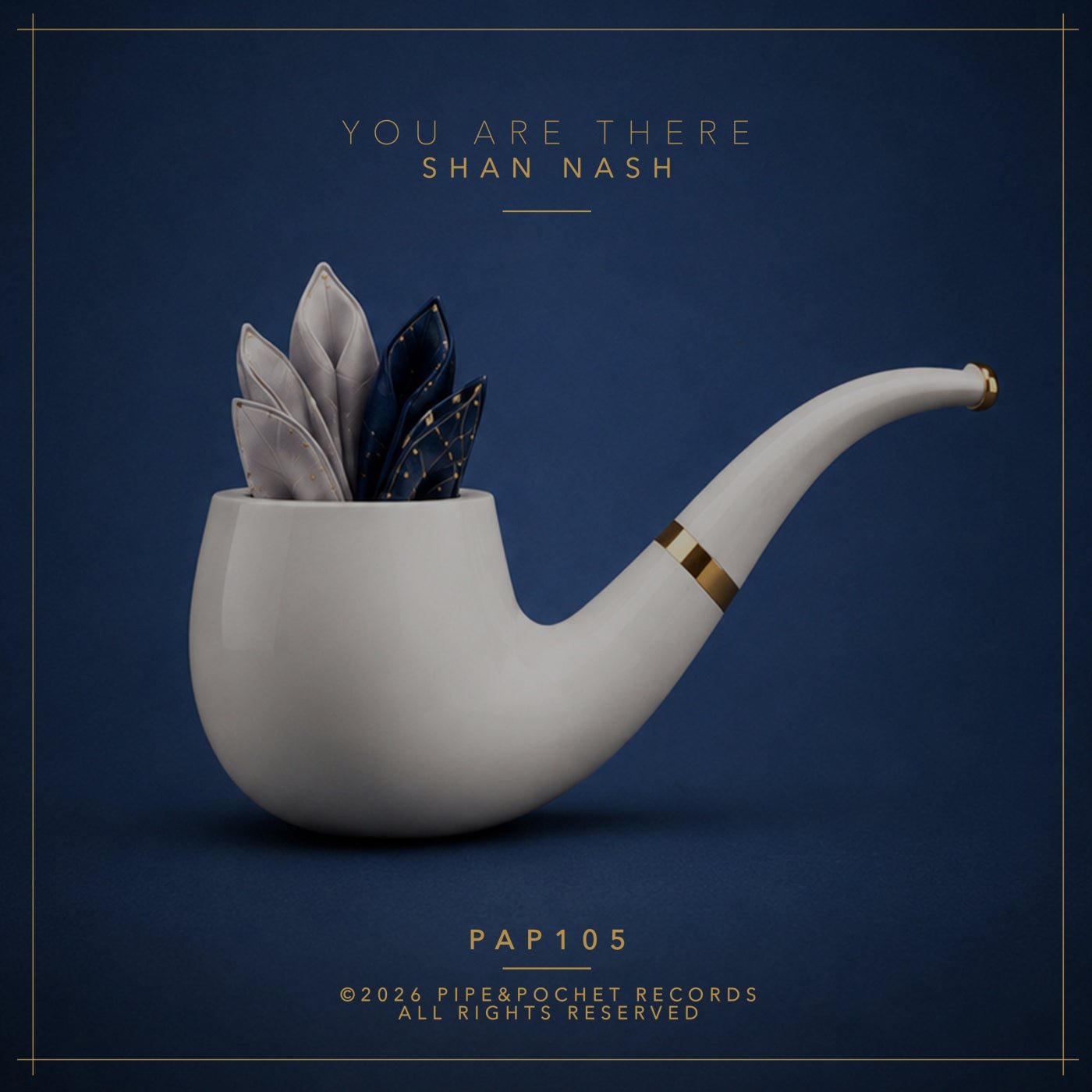Cover - Shan Nash - You Are There (Original Mix) Promo tools
