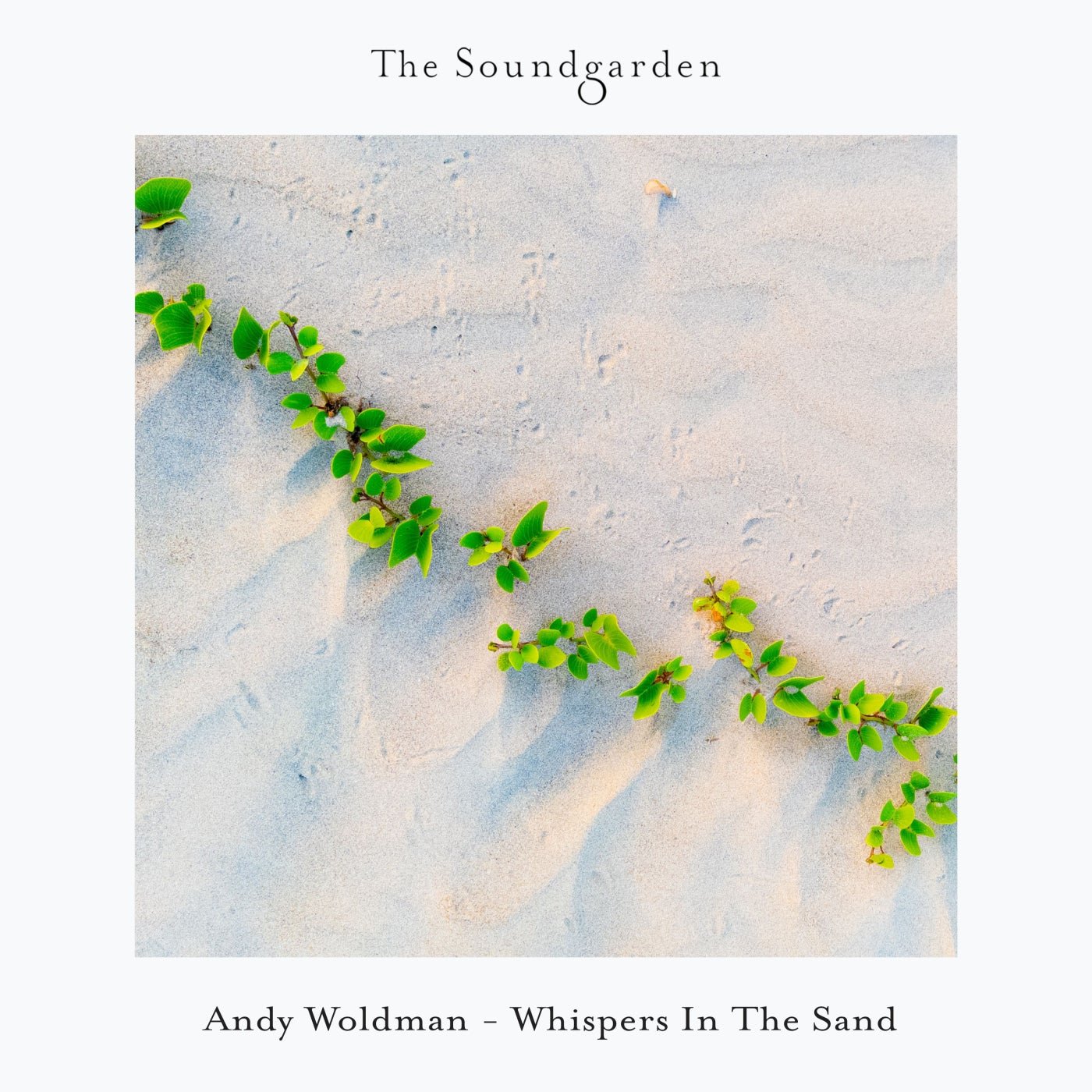 Cover - Andy Woldman - Roots (Extended Mix) Promo tools