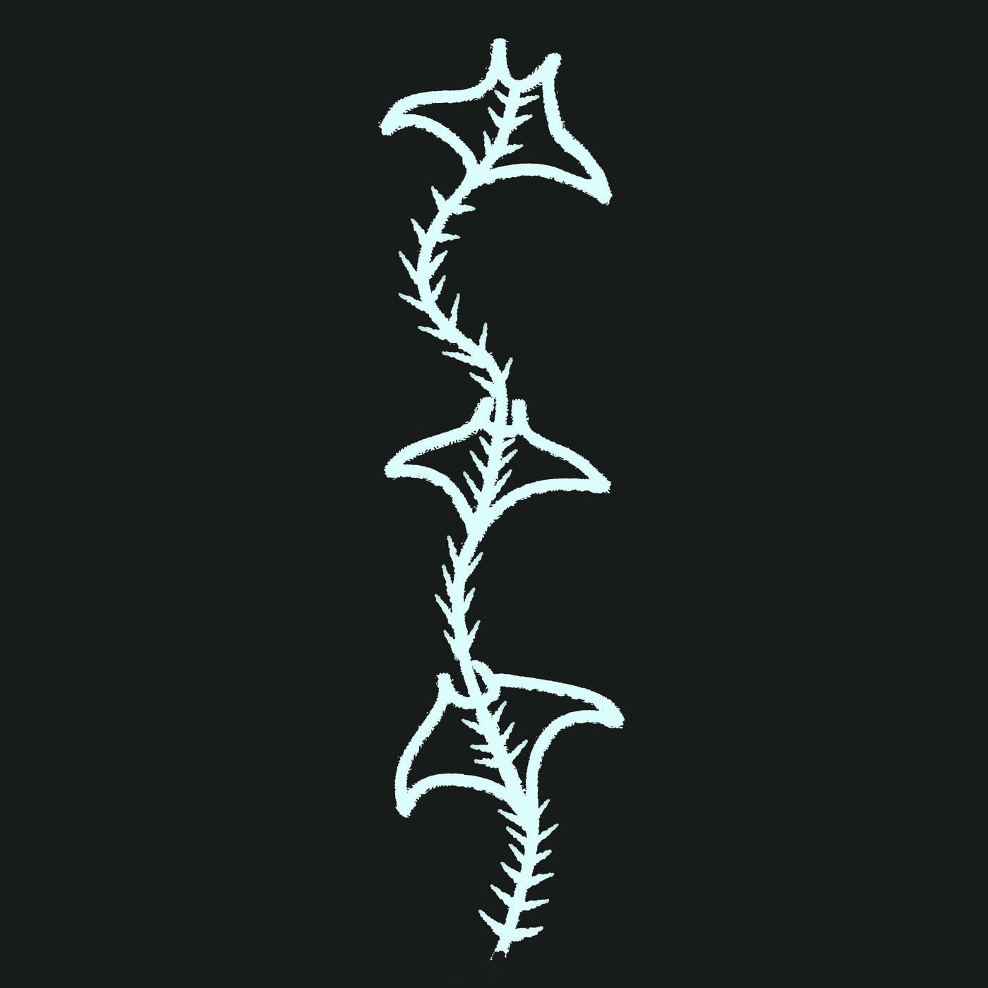 Cover - Singular Anomalies - Root System (Original Mix) Promo tools