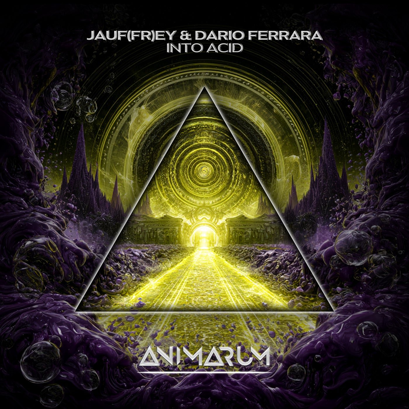 Cover - Dario Ferrara, JAUF(FR)EY - Into Acid (Extended Mix) Promo tools