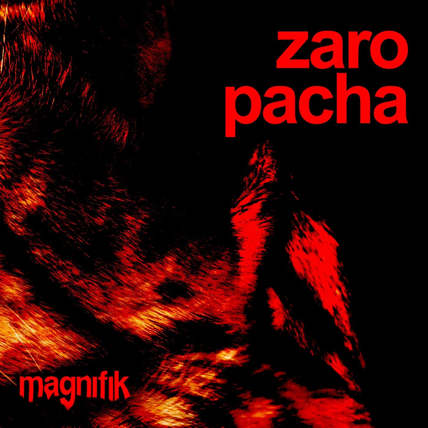 Cover - ZARO - Pacha (Original Mix) Promo tools