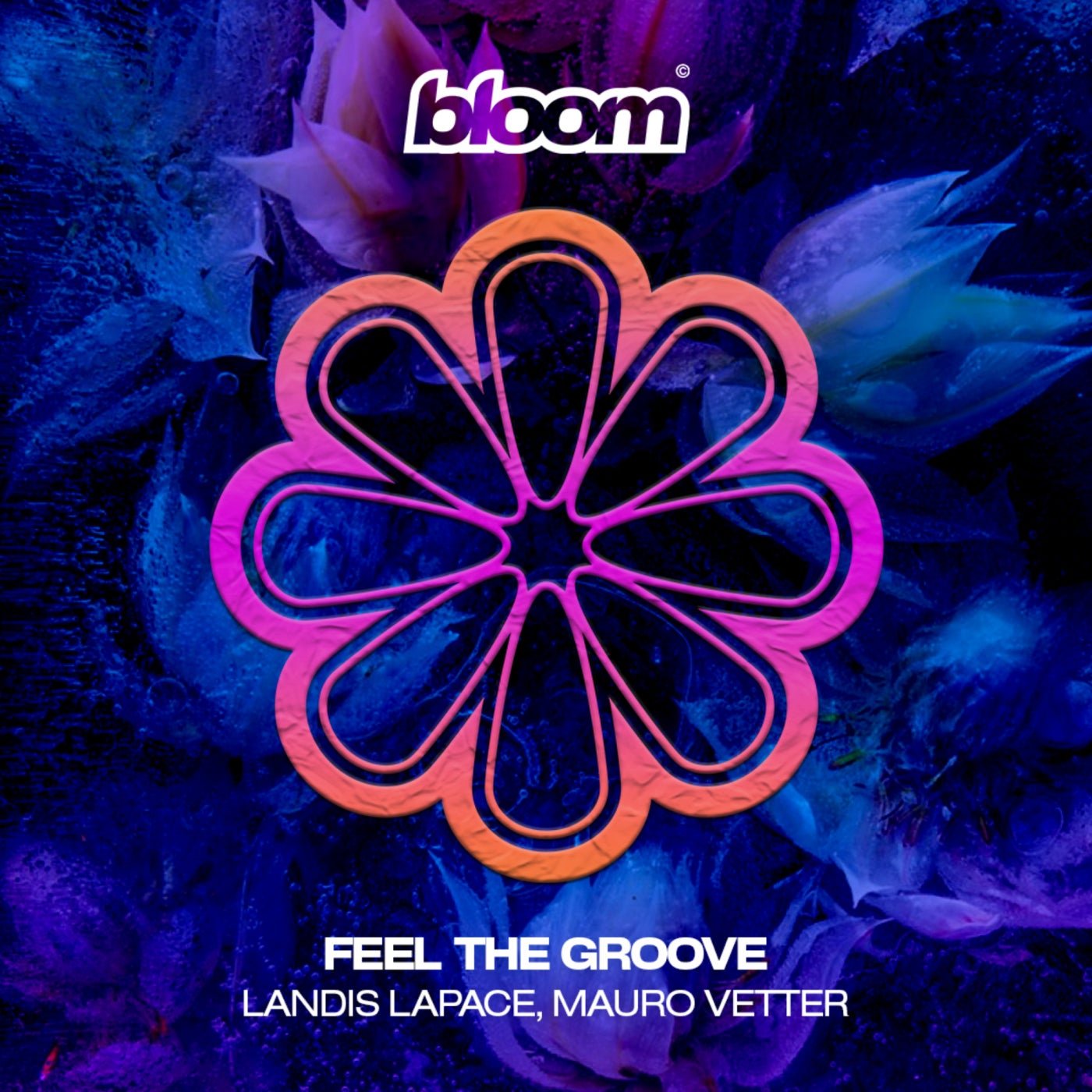 Cover - Landis LaPace, Mauro Vetter - Feel The Groove (Original Mix) Promo tools