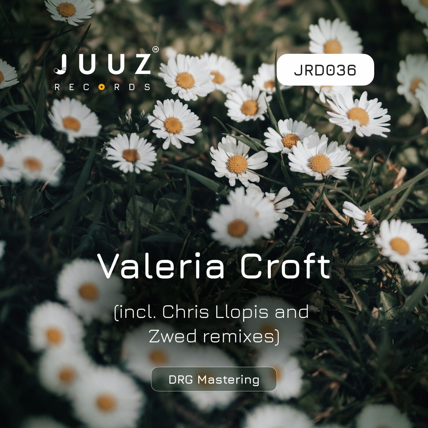 Cover - Valeria Croft - Drip To Hard (Chris Llopis Remix) Promo tools