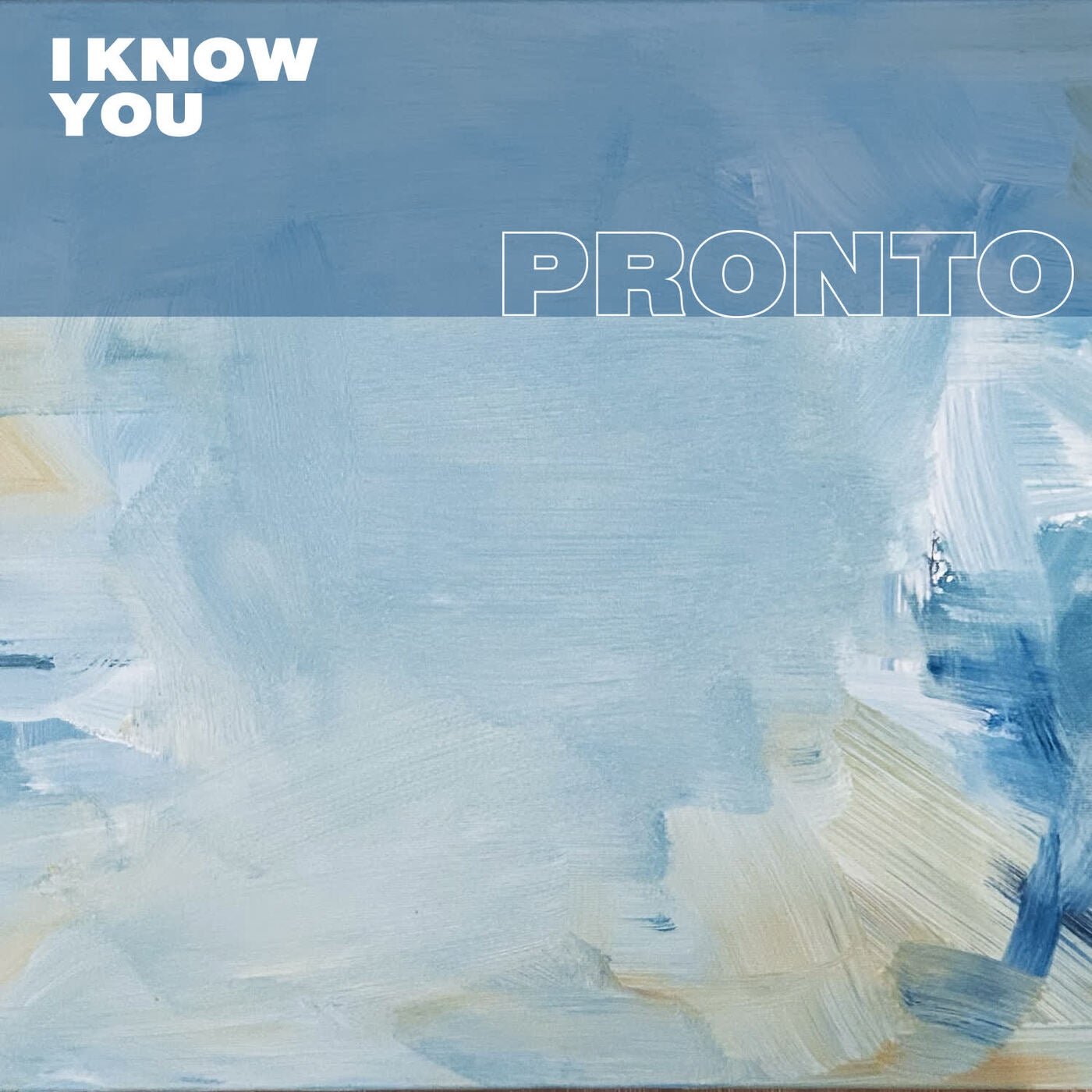 Cover - Karizma, James Curd - I Know You (Original Mix) Promo tools