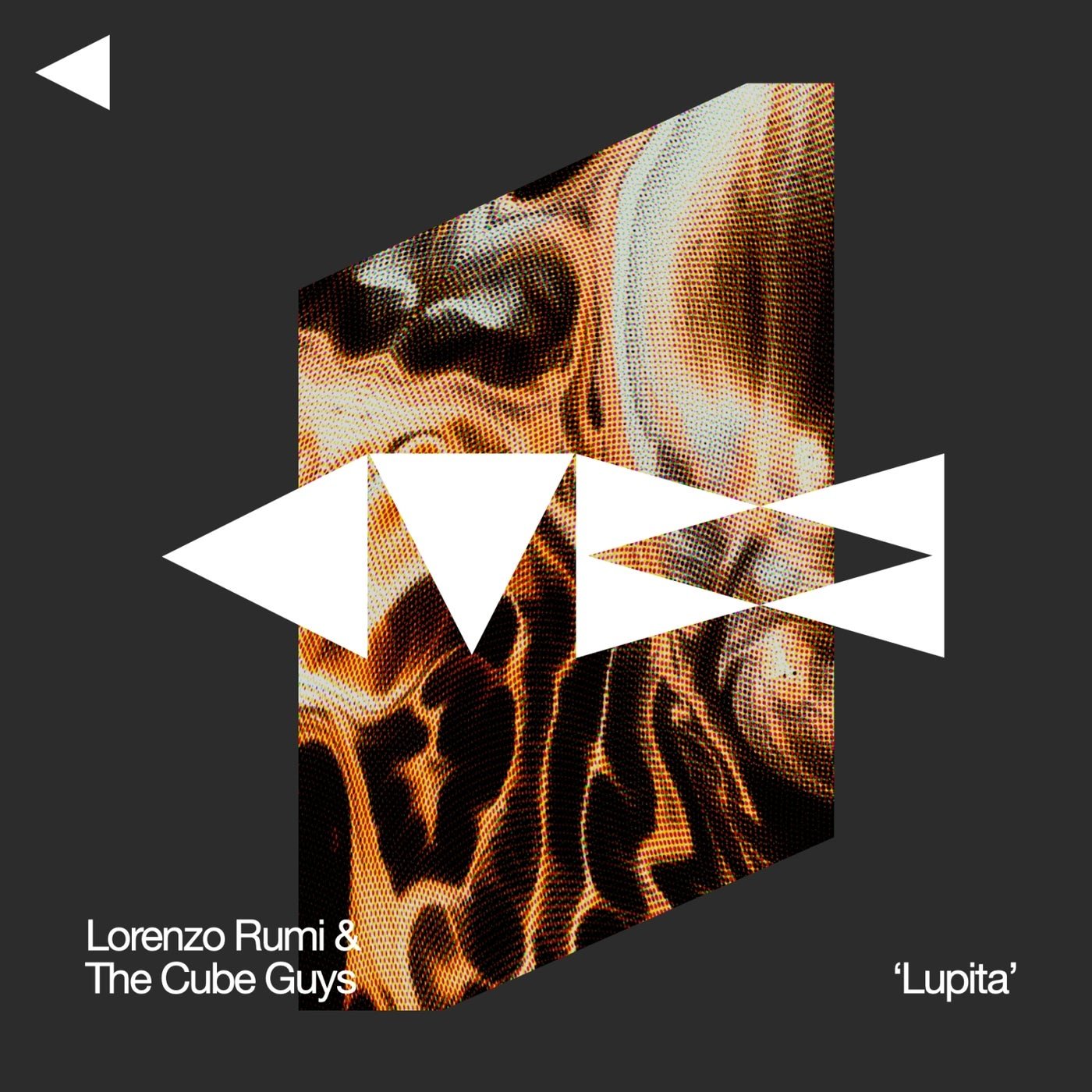 Cover - The Cube Guys, Lorenzo Rumi - Lupita (Orignal Mix)