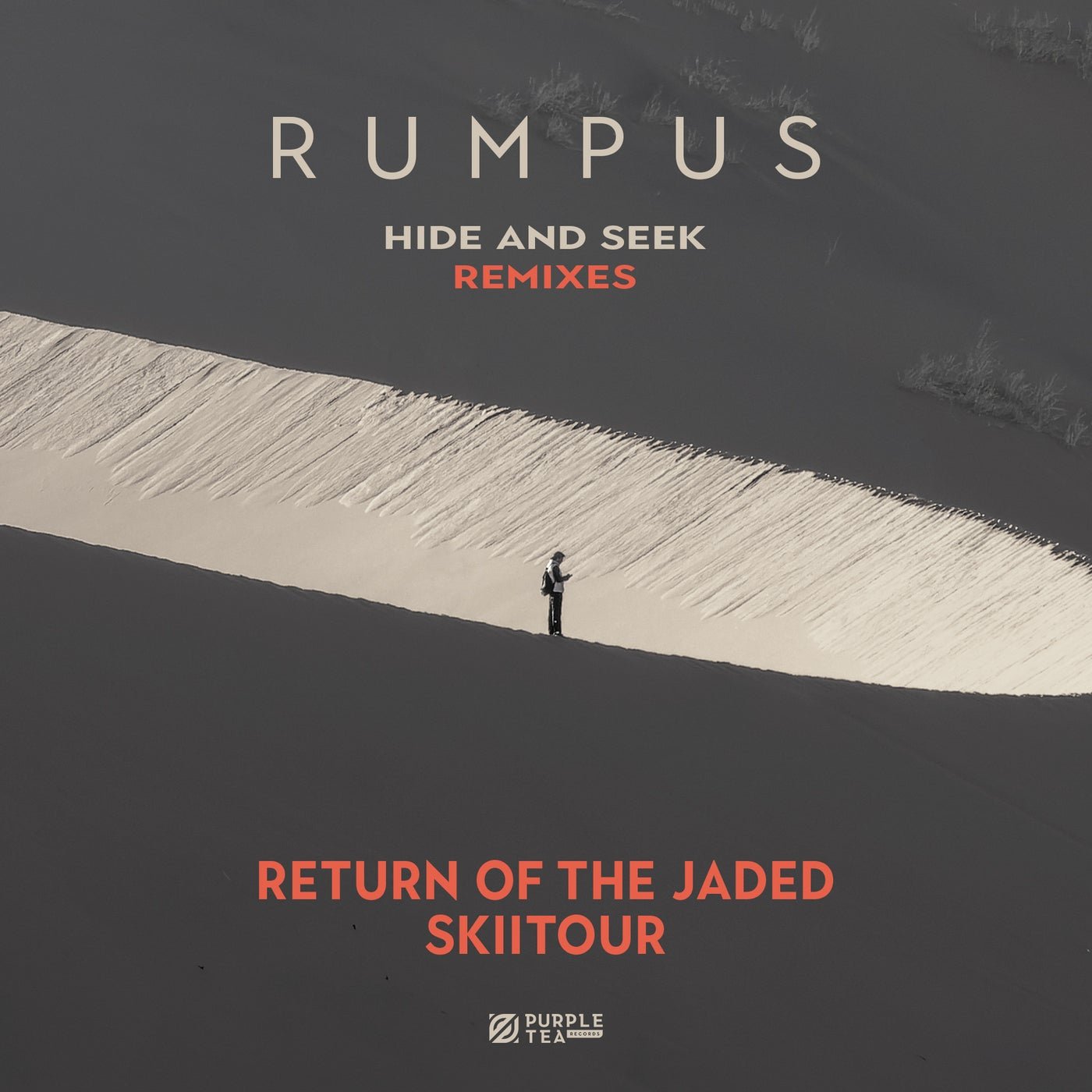 Cover - RUMPUS, Return of the Jaded - Hide and Seek (Return of the Jaded Extended Remix) Promo tools
