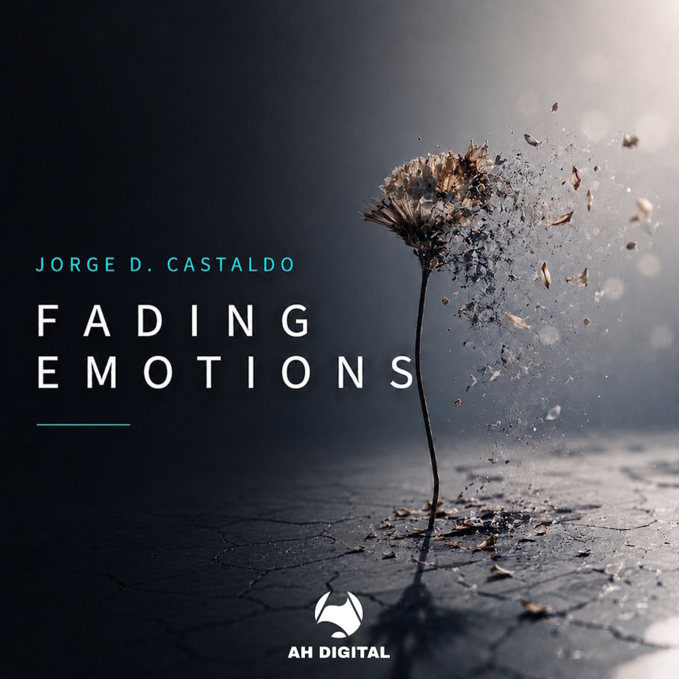 Cover - Jorge D. Castaldo - Fading Emotions (Original Mix) Promo tools