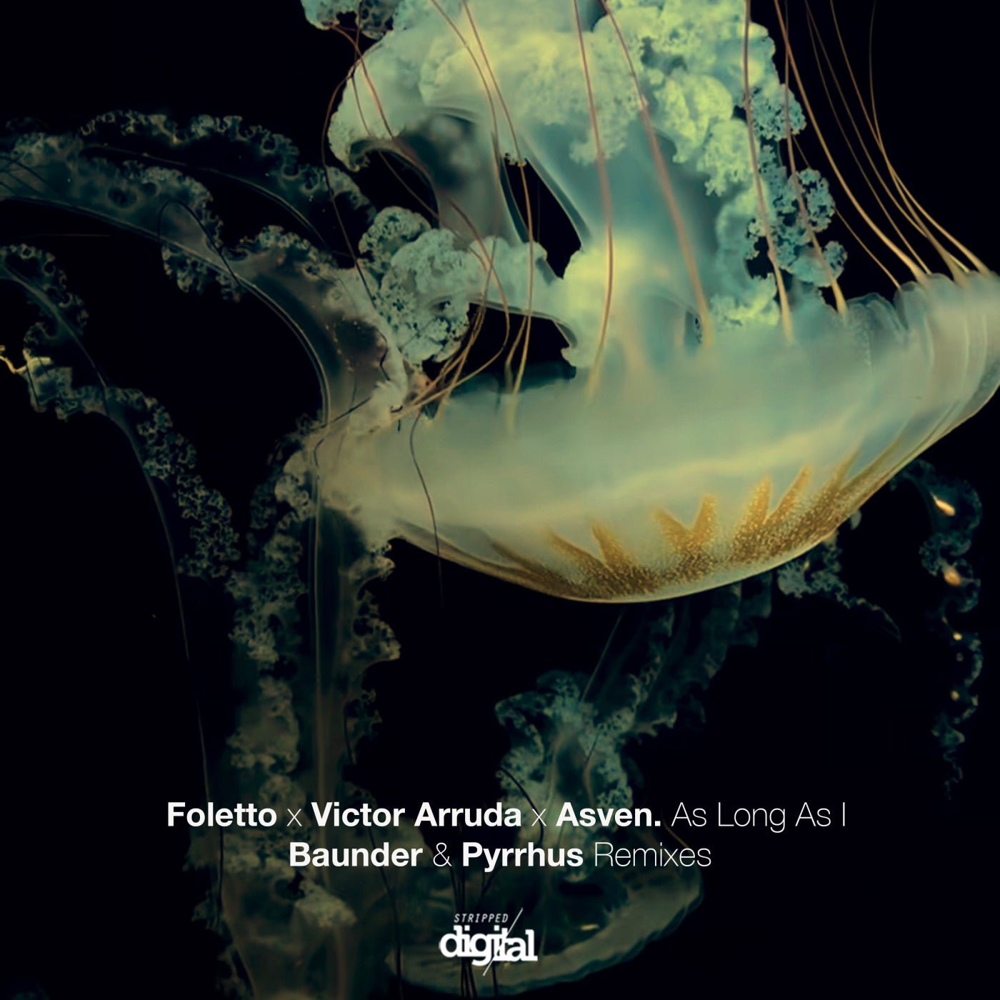 Cover - Foletto, Victor Arruda, Asven - As Long as I (Baunder's Dub Mix) Promo tools