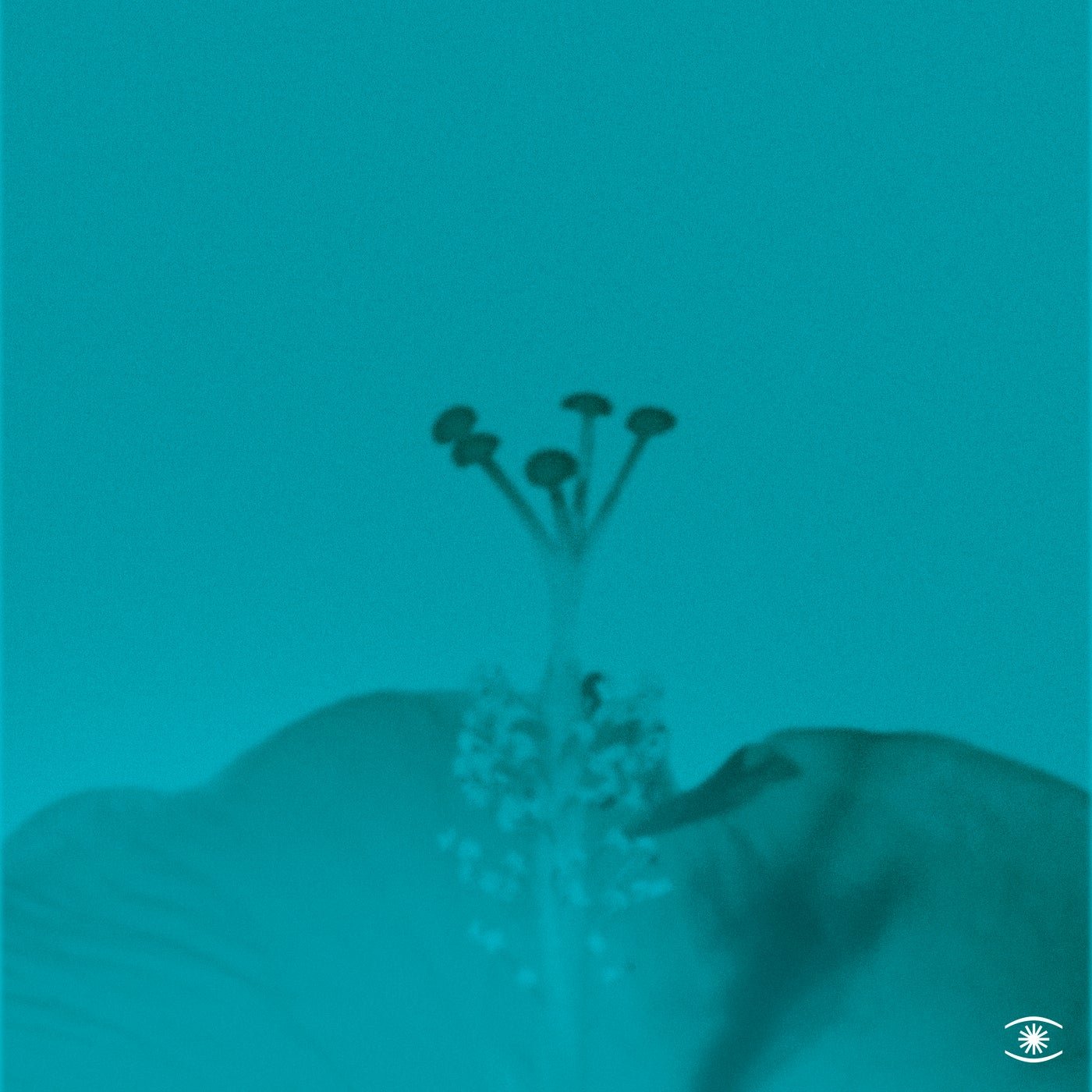 Cover - John Beltran - Soft Rain (Original Mix)