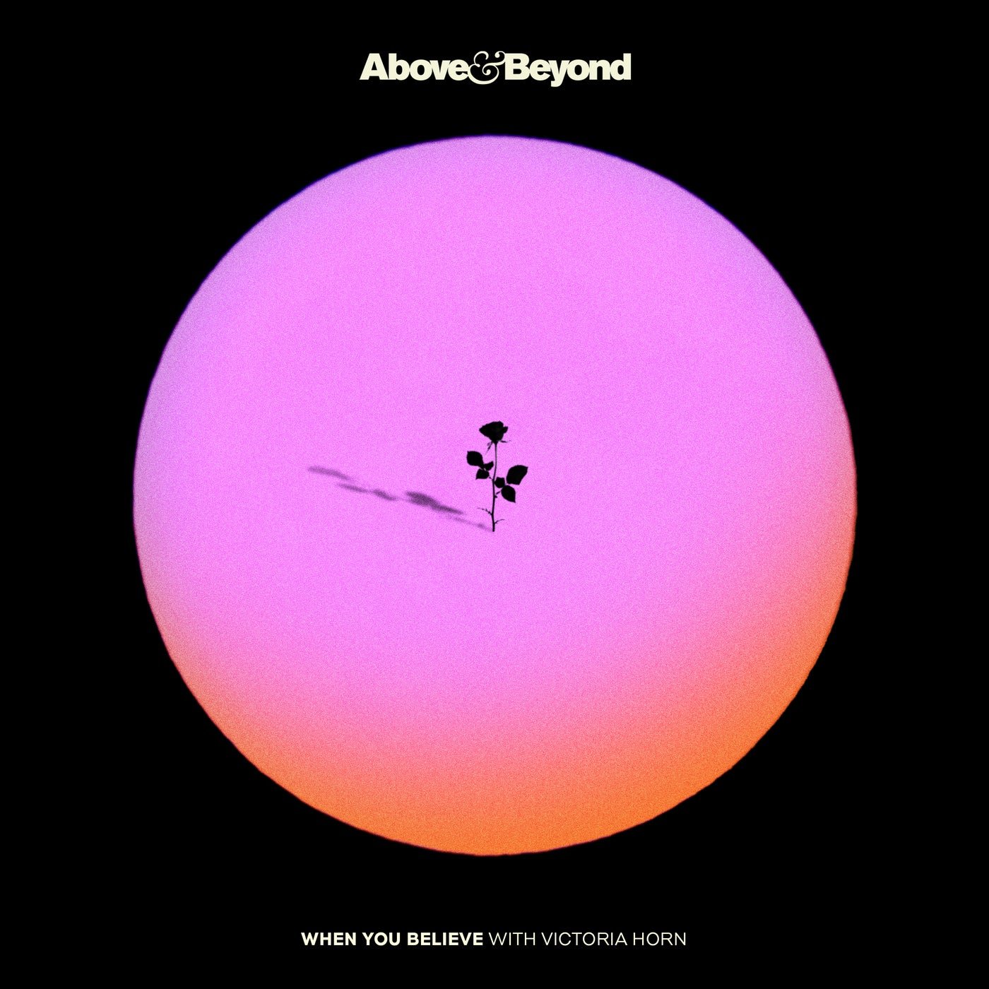Cover - Above & Beyond, Victoria Horn - When You Believe (Above & Beyond Extended Club Mix) Promo tools