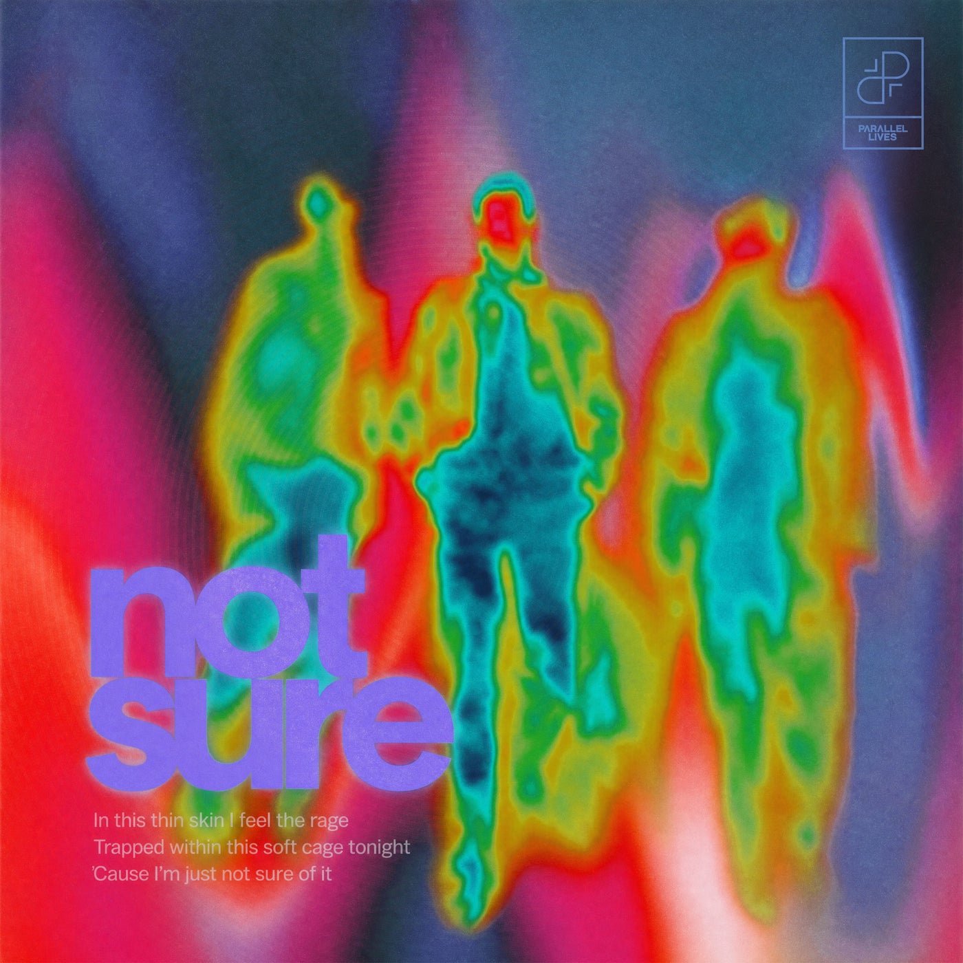 Cover - Prana Flow, True Motion, panz. - Not Sure (Extended Mix) Promo tools
