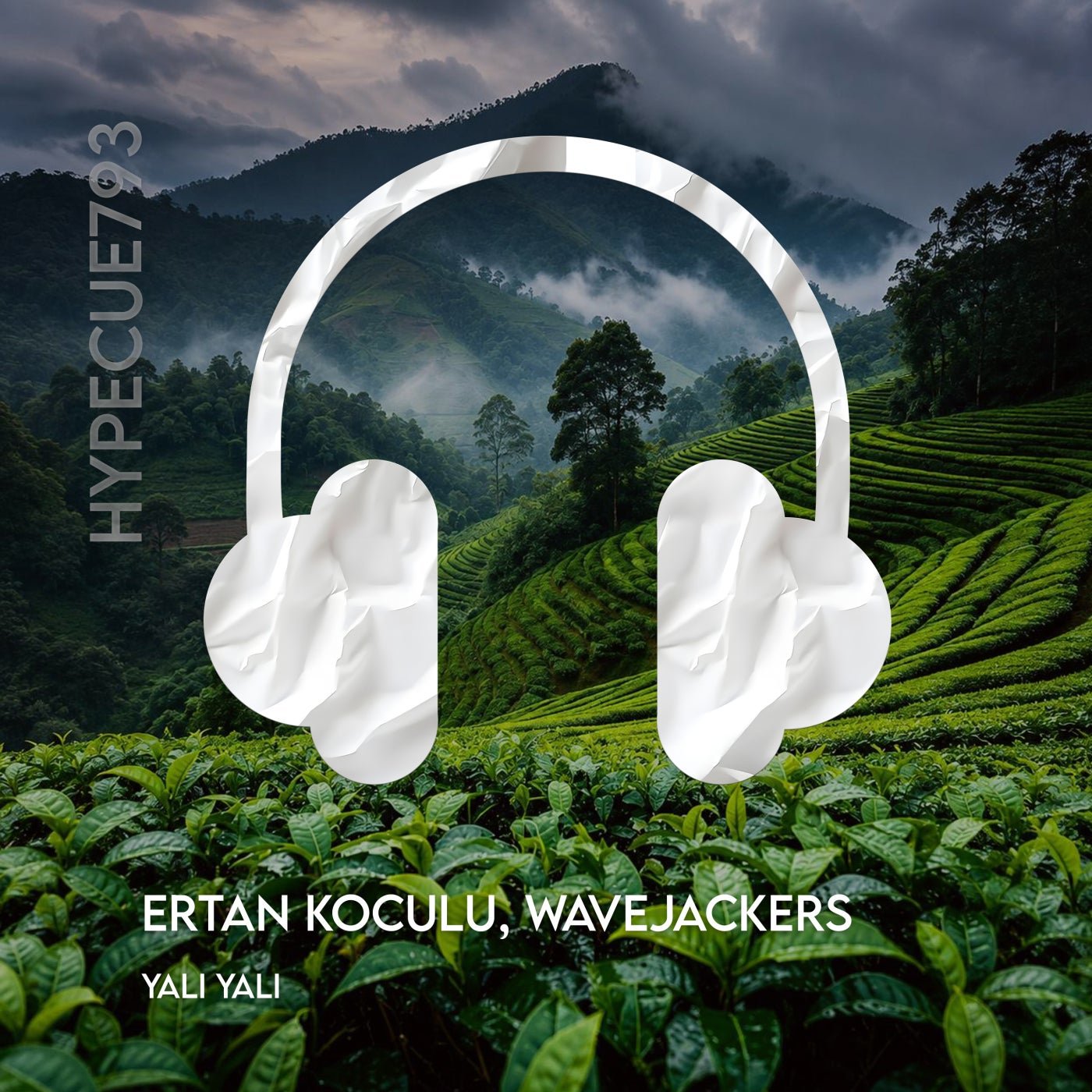 Cover - Wavejackers, Ertan Koculu - Yali Yali (Original Mix) 